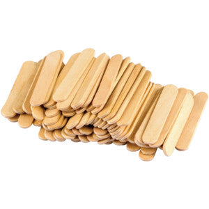 STEM Basics: Mini Craft Sticks [TCR20922]