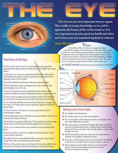 The Eye  Learning Chart 17x22 [CD414040] [CD414040]