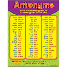ANTONYMS Learning Chart 17x22 [T38162]