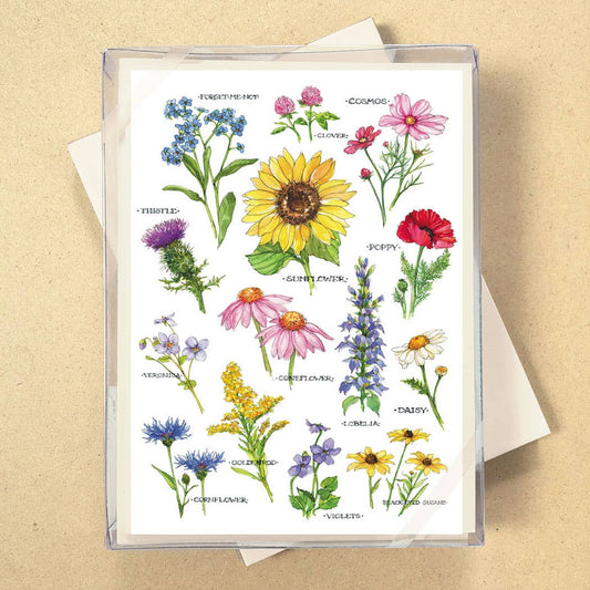 Field Guide to Wildflowers Boxed Blank Cards