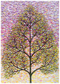 Tree at Dawn Blank Greeting Card [2262BL]