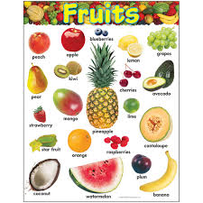 Fruits Learning Chart 17x22 [T38247]