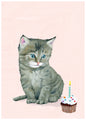 Kitten Me Birthday Greeting Card [2799BD]