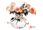 Vercillas in Vase Congratulations (D)