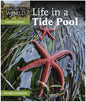 LIFE IN A TIDE POOL by Michele Dufresne [ETW-K13]