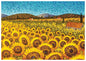 Sunflowers Umbria Birthday Greeting Card [2913BD]