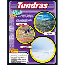 TUNDRAS Learning Chart 17x22 [T38149]