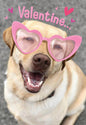 Valentine Greeting Card [VDT40126401]