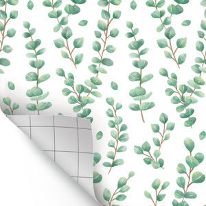 Eucalyptus Peel and Stick Decorative Paper [TCR70008]