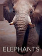 Elephants - Single Copy [DOW-M13]
