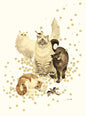 Superiority Cats Birthday Greeting Card [2789BD]