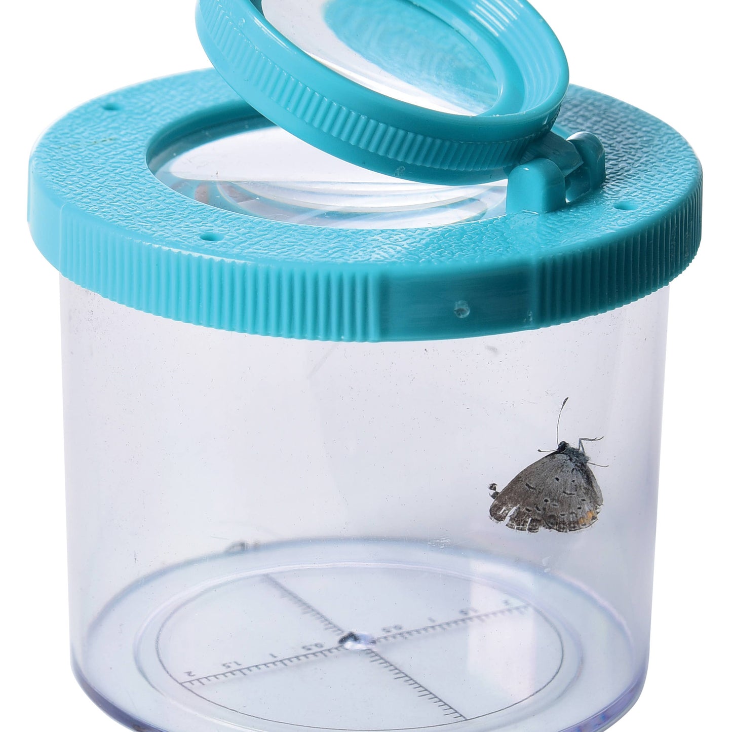 Bug Viewer 12-unit Display