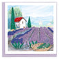 Lavender Fields