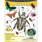 Exploring Insects Learning Chart 17x22 [T38184]