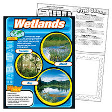 Wetlands Chart 17x22 [T38150] [T38150]