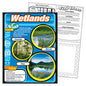 Wetlands Chart 17x22 [T38150] [T38150]