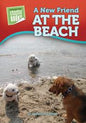A New Friend at the Beach by Michele Dufresne [9781584533511]