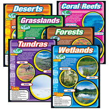 DESERTS Learning Chart 17x22 [T38145]