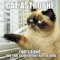 Cat-Astrophe Book [39910]