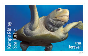 USPS Forever Stamps Sheet - 2024 Protect Sea Turtles Stamps
