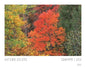 USPS Forever Stamps Sheet - 2024 forever stamps Autumn Colors
