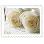 USPS Forever Stamps Sheet - (2011) USPS Wedding Roses Commemorative Forever Stamps