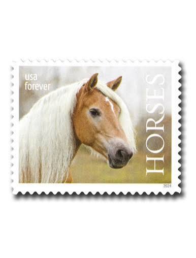 USPS Forever Stamps Sheet - 2024 Horses Stamps forever stamps