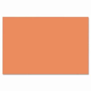 Nature Saver Construction Paper, 12 X 18, Orange 50 Sheets [NAT22307]