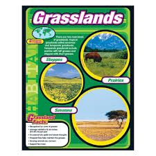 Grasslands CHART 17x22  [T38147]