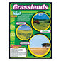Grasslands CHART 17x22  [T38147]