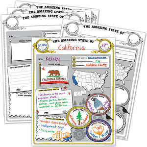 Amazing State Poster Pack [TCR5800]