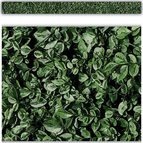 Modern Farmhouse Boxwood Straight Border Trim [TCR8513]