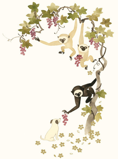 Monkeys and Puppy