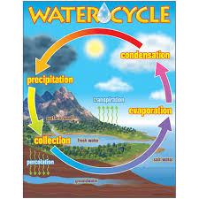 The Water Cycle Learning Chart 17x22 [T38119]