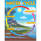 The Water Cycle Learning Chart 17x22 [T38119]