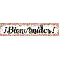 Confetti Bienvenidos Banner [TCR5324]