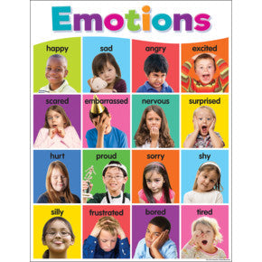 Colorful Emotions Chart 17x22 [TCR7107]
