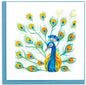 Quilled Peacock Feather Display Greeting Card [BL1339]