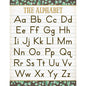 Eucalyptus The Alphabet Chart 17x22 [TCR7983]