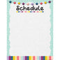 Oh Happy Day Schedule Write-On/Wipe-Off Chart 17x22 [TCR7491]