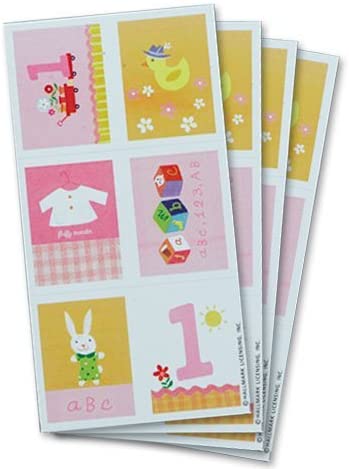 Baby Girl's First Birthday Stickers [1KSS2408]