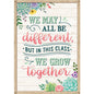 We May All Be Different, but in This Class We Grow Together Positive Poster [TCR7442]