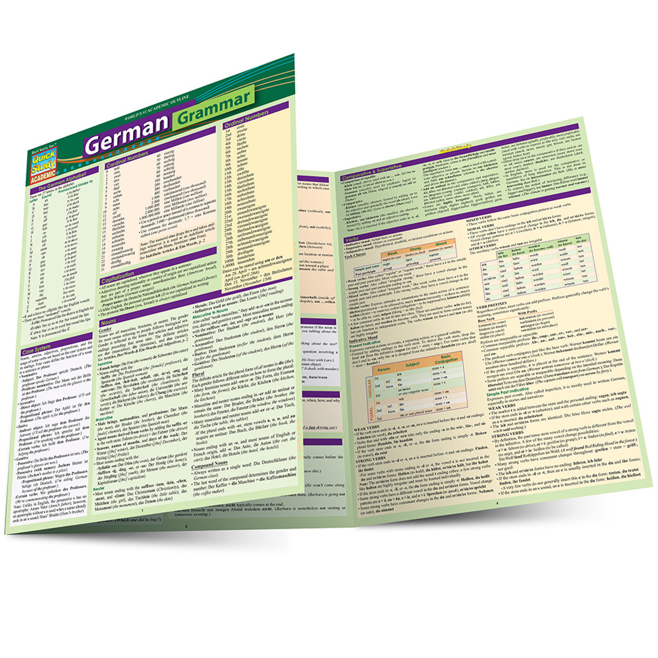 QuickStudy | GERMAN GRAMMAR [234722]