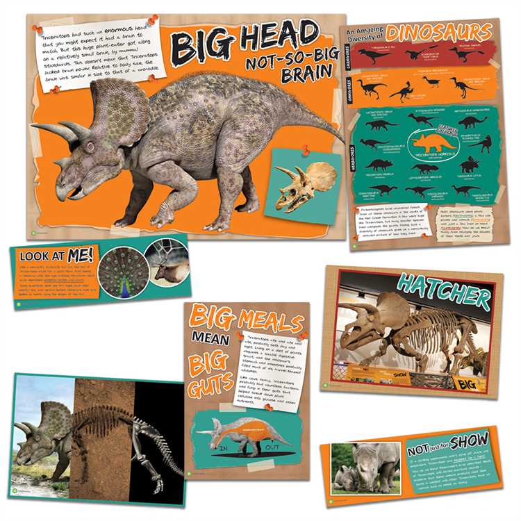 Amazing Dinosaurs Bulletin Board Set [P847561]