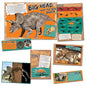 Amazing Dinosaurs Bulletin Board Set [P847561]