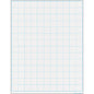 Graphing Grid 1Â½ Inch Squares Write-On/Wipe-Off Chart 17x22 [TCR7115]