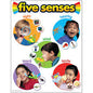 Five Senses Learning Chart 17x22 [T38051]