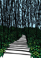 Golden Hour Woods Blank Card