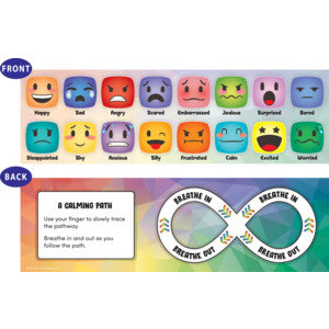 Social-Emotional Mood Meters [TCR6052]
