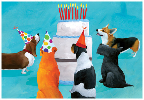DOG PARTY BIRTHDAY [2439BD]